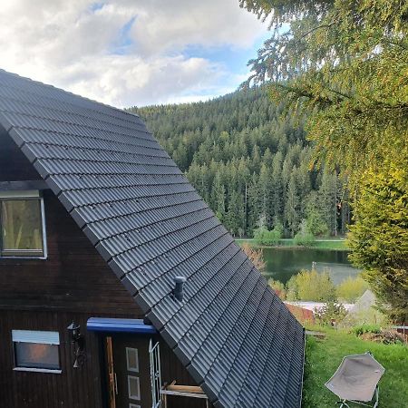 Haus Adler - Komplettes Ferienhaus Am Badesee Erzgrube Eksteriør bilde
