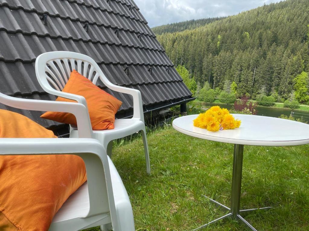 Haus Adler - Komplettes Ferienhaus Am Badesee Erzgrube Eksteriør bilde