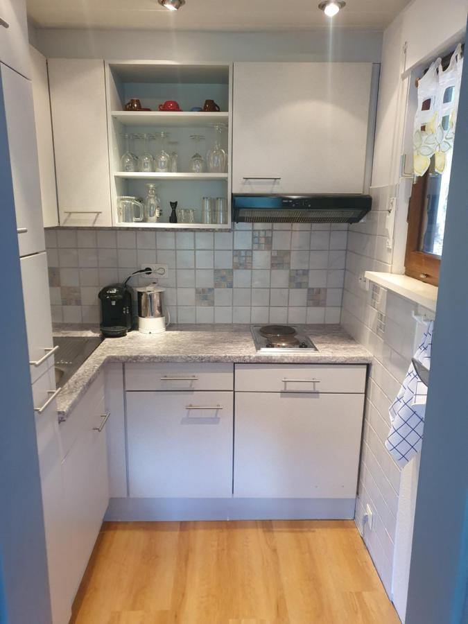 Haus Adler - Komplettes Ferienhaus Am Badesee Erzgrube Eksteriør bilde