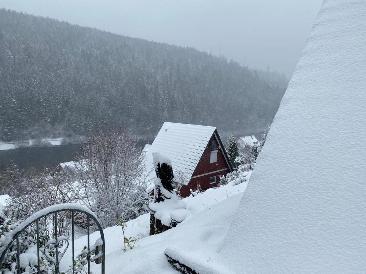 Haus Adler - Komplettes Ferienhaus Am Badesee Erzgrube Eksteriør bilde