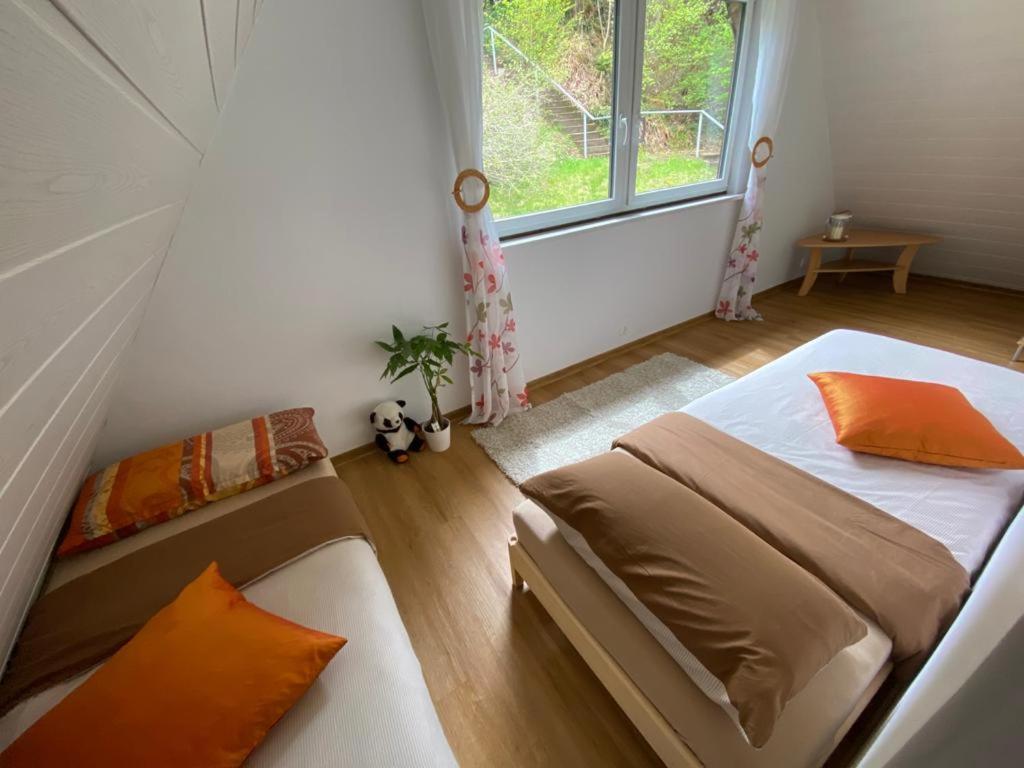 Haus Adler - Komplettes Ferienhaus Am Badesee Erzgrube Eksteriør bilde