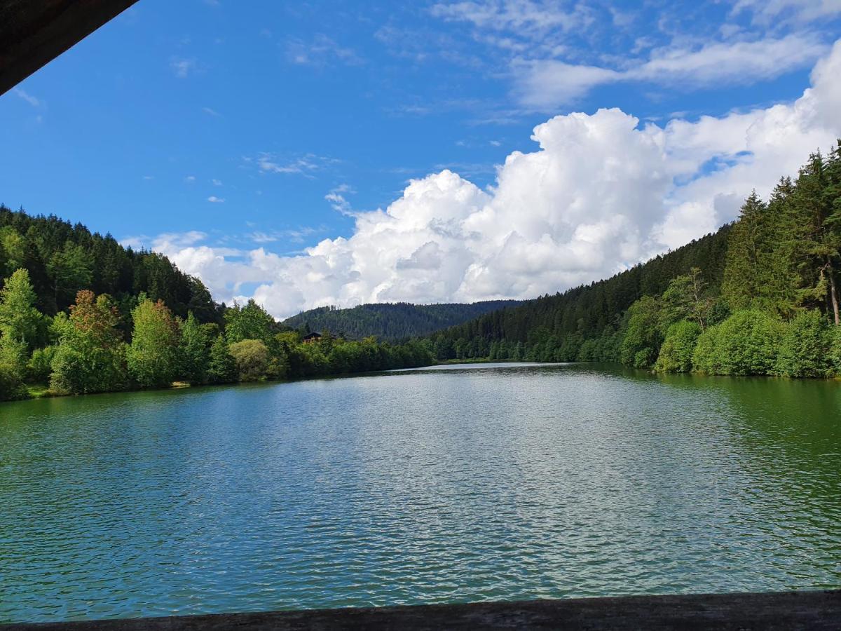 Haus Adler - Komplettes Ferienhaus Am Badesee Erzgrube Eksteriør bilde