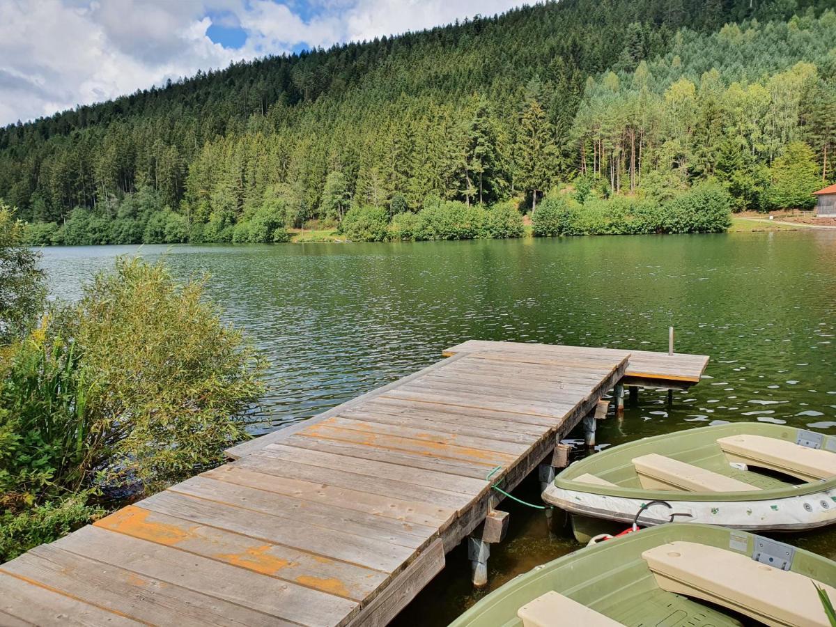 Haus Adler - Komplettes Ferienhaus Am Badesee Erzgrube Eksteriør bilde